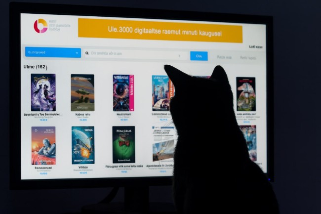 e-raamat kassiga e-raamat kassiga